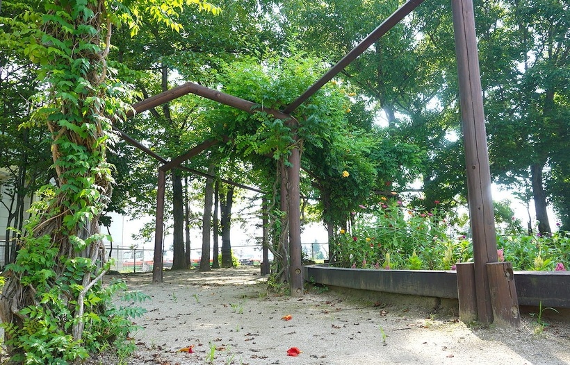 写真：福島ルンビニー幼稚園：緑のトンネル