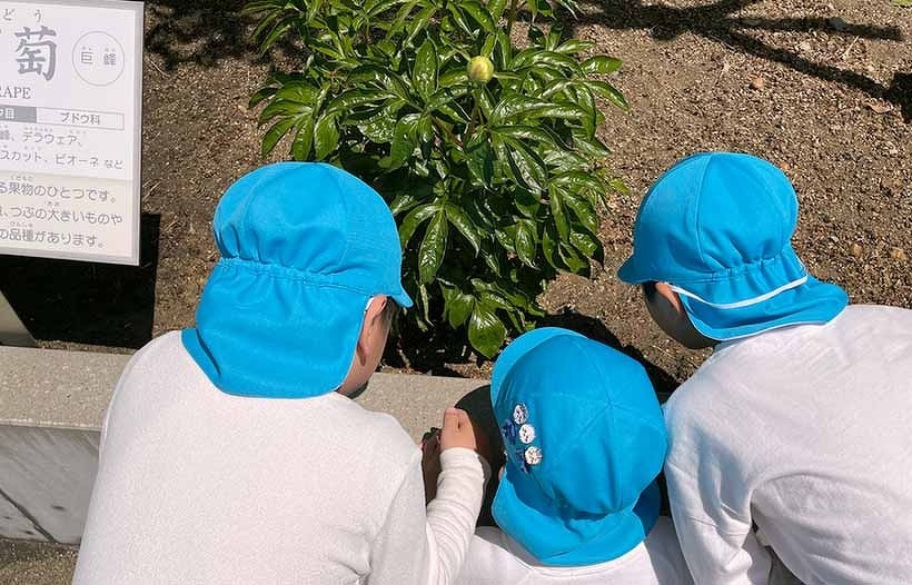 写真：フルーツガーデンで果樹の観察をしている園児：福島ルンビニー幼稚園