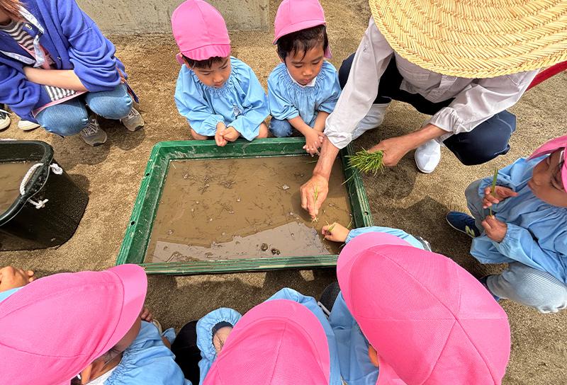 専門教室「農体験教室」の様子