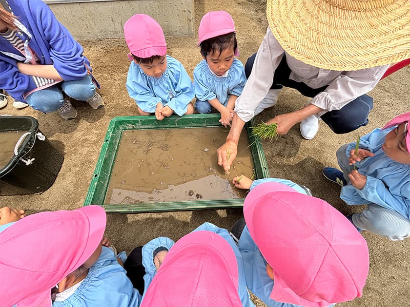 写真:農体験教室の様子