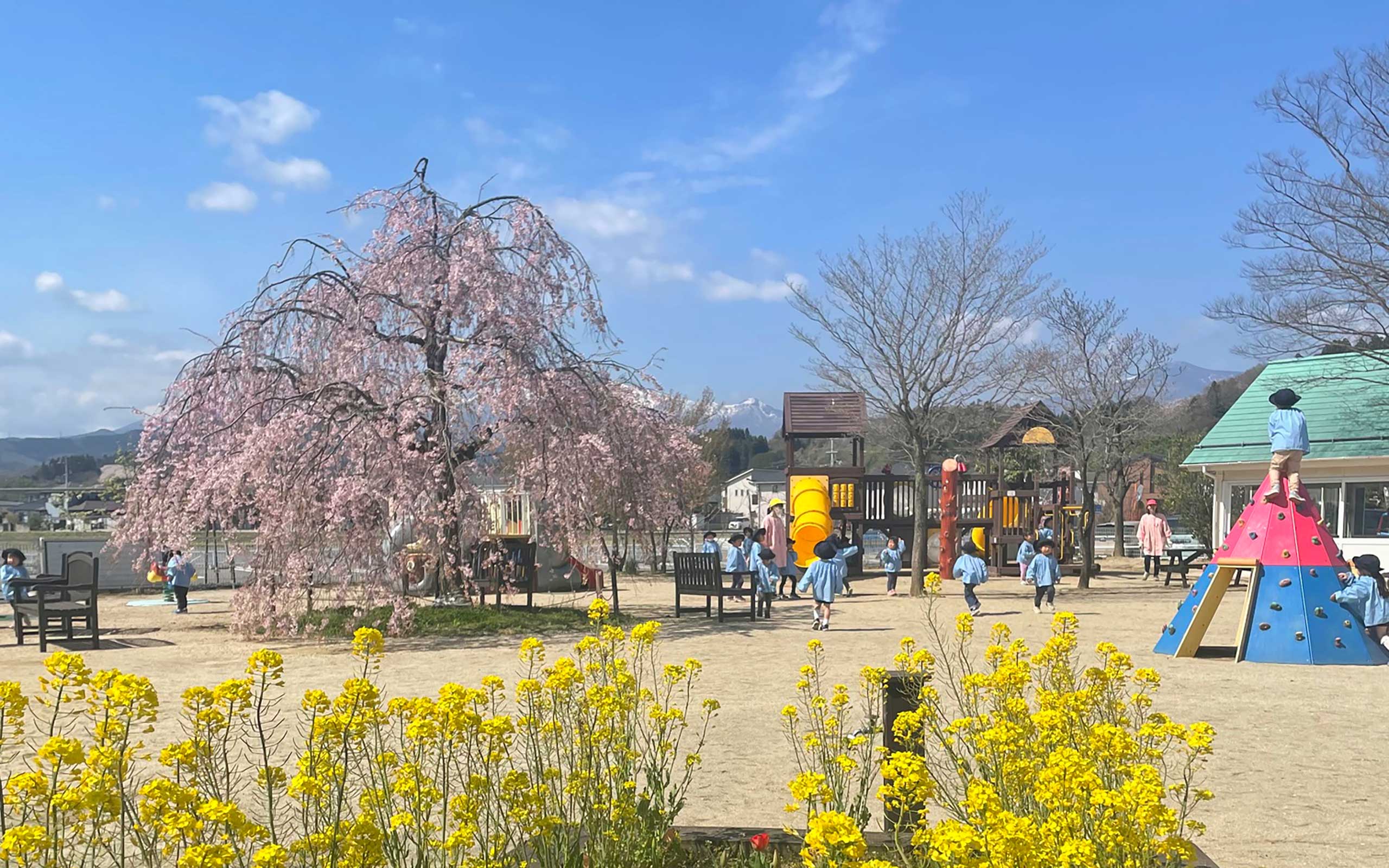 写真：福島ルンビニー幼稚園の園庭